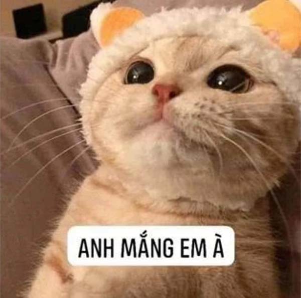 Tổng hợp meme dỗi hài hước, cute, đáng yêu