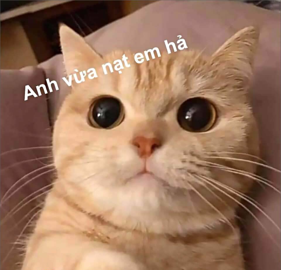 Tổng hợp meme dỗi hài hước, cute, đáng yêu