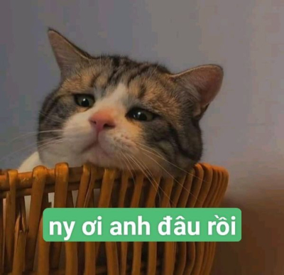 Tổng hợp meme dỗi hài hước, cute, đáng yêu