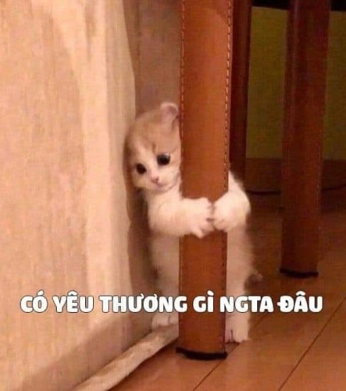 Tổng hợp meme dỗi hài hước, cute, đáng yêu