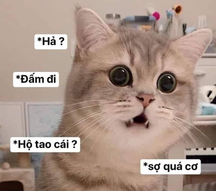 Tổng hợp meme dỗi hài hước, cute, đáng yêu