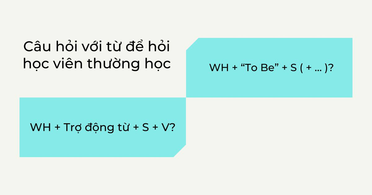 What và Who làm chủ ngữ trong câu hỏi | Cách dùng và bài tập