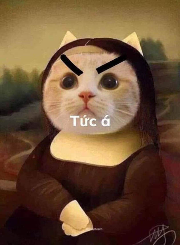 Tổng hợp meme dỗi hài hước, cute, đáng yêu