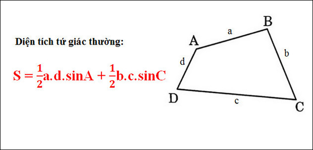 Bí Mật Đằng Sau Công Thức Tính Diện Tích Tứ Giác