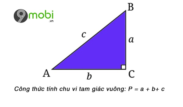 Tính Chu Vi Tam Giác