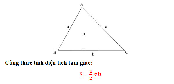 Công thức tính diện tích tam giác Thường, Vuông, Cân, Đều