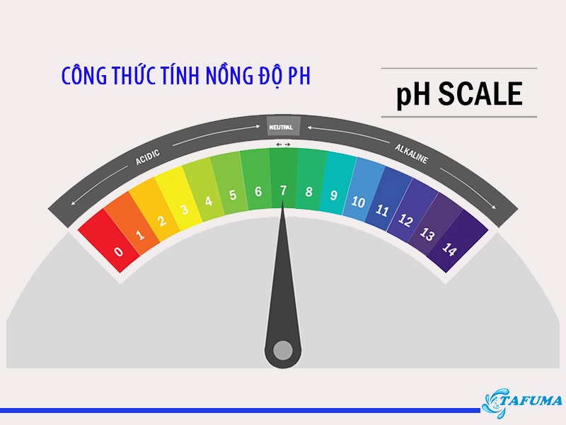 Cách tính pH – Công thức tính nồng độ pH (CHUẨN NHẤT)