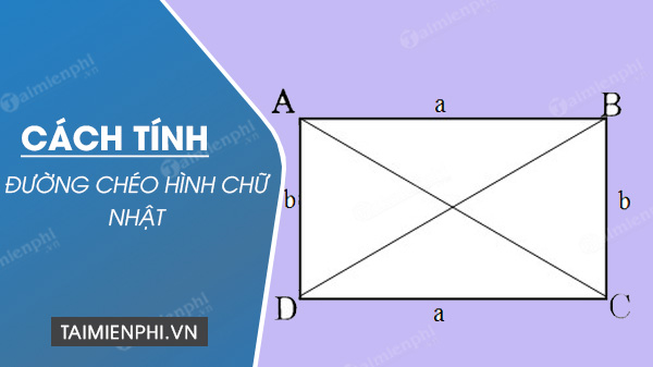 Phương pháp tính đường chéo của hình chữ nhật khi biết độ dài hai cạnh hoặc diện tích, chu vi