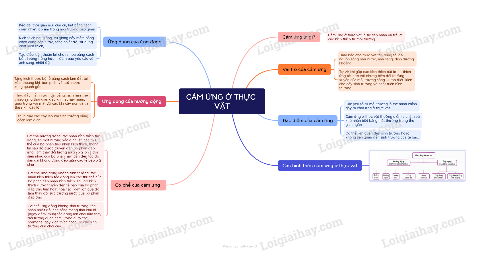 Lý thuyết Cảm ứng ở thực vật - Sinh học 11 Kết nối tri thức</>