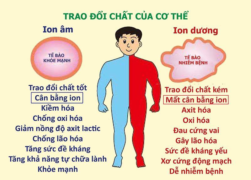 Anion Cation là gì? Sự khác biệt giữ Anion và Cation