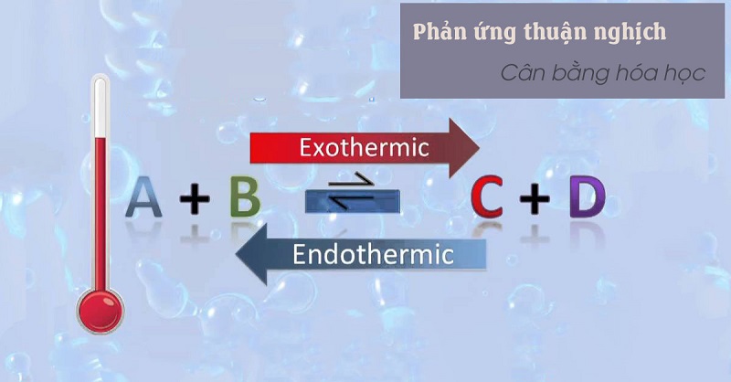 Cân bằng hóa học là gì? Tìm hiểu chi tiết từ A-Z