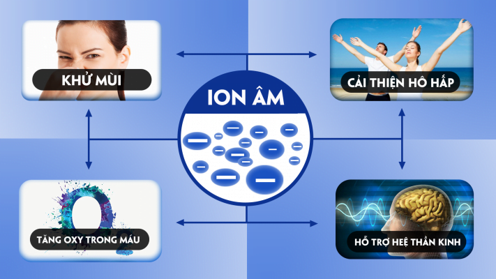 Anion Cation là gì? Sự khác biệt giữ Anion và Cation