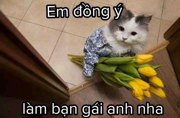 Bộ sưu tập hình ảnh tình yêu đáng yêu, hài hước