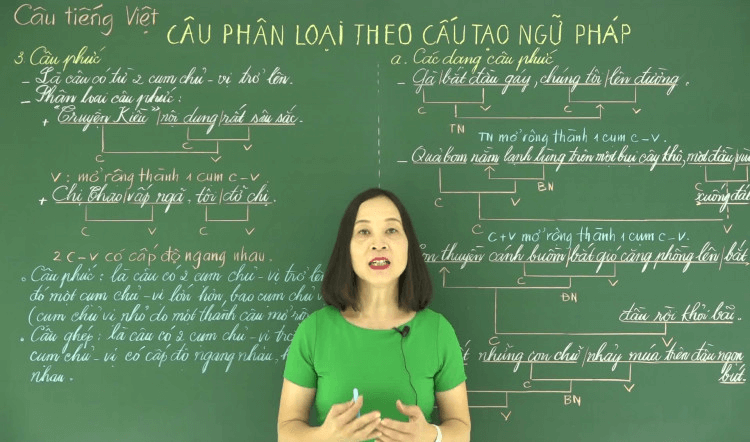 [Tổng quát] Câu đơn, câu ghép, câu phức trong tiếng Việt & Bài tập có đáp án