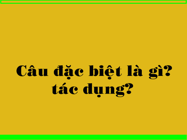 Câu đặc biệt là gì? Đặc điểm, Tác dụng? Cho ví dụ?