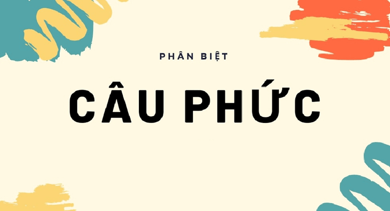 Câu phức trong tiếng việt: Khái niệm, cấu trúc, phân loại & hướng dẫn cách dùng