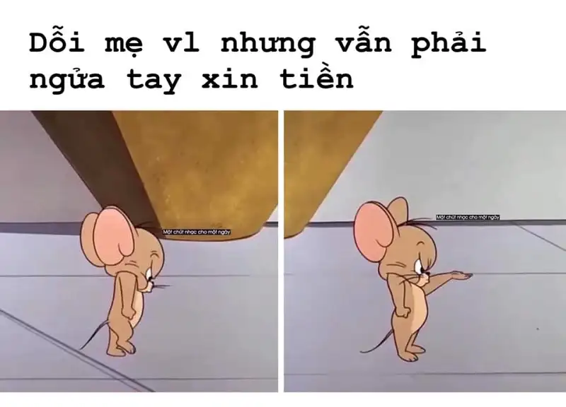 Tổng hợp bộ Tom and Jerry meme cực hài hước dễ thương