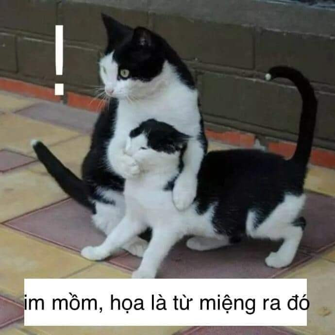 Bùng nổ cười với bộ sưu tập meme im mồm đỉnh cao