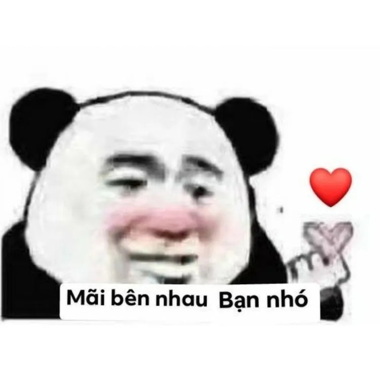 888+ meme gấu trúc bựa weibo cute, biểu cảm hài hước nhất