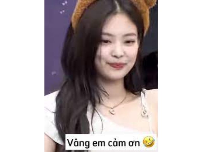 25+ ảnh meme cảm ơn cute, meme cảm ơn cà khịa cực mạnh