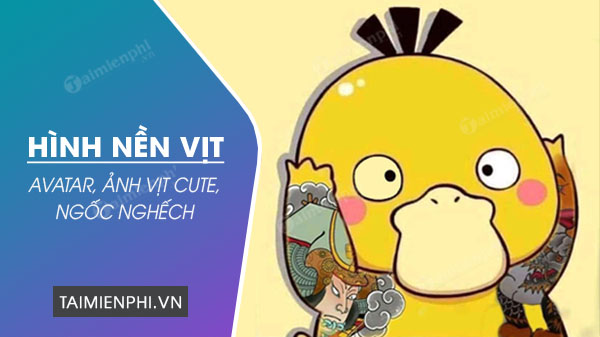 Hình nền vịt, avatar, ảnh vịt cute, ngốc nghếch