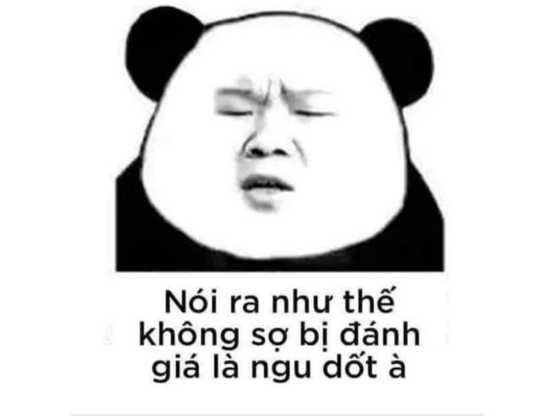 Tổng hợp 100 meme gấu trúc hài hước, hóm hỉnh và cực kỳ bá đạo