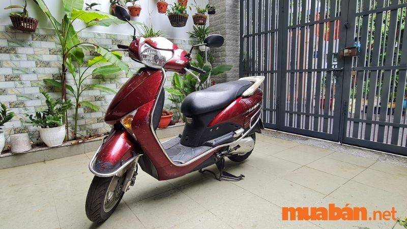 Mua Bán Xe Honda Lead Cũ Giá Rẻ, Mới Nhất T11/2024