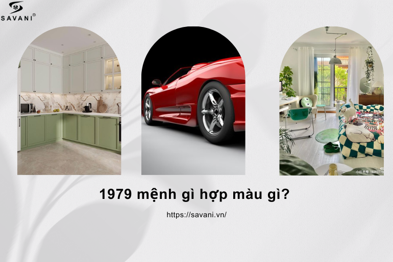 1979 mệnh gì hợp màu gì? Tính cách, sự nghiệp của Kỷ Mùi 1979