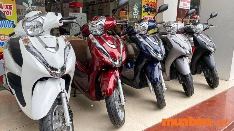 Mua Bán Xe Honda Lead Cũ Giá Rẻ, Mới Nhất T11/2024