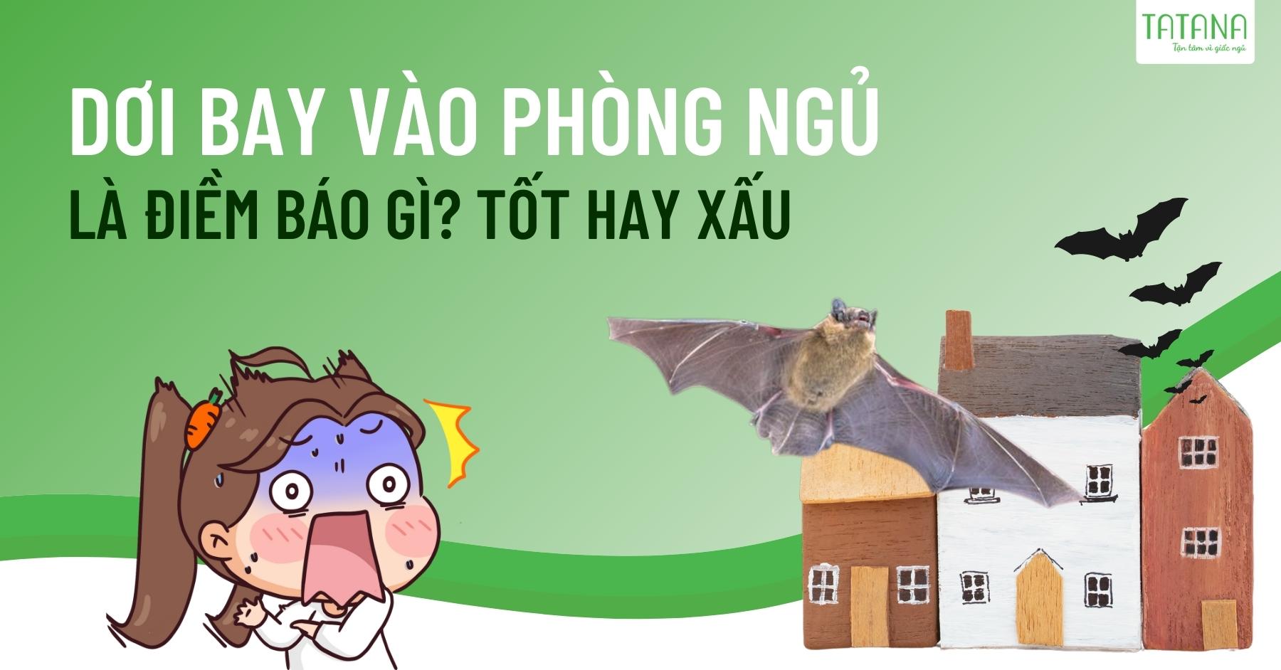 Dơi bay vào phòng ngủ là điềm báo gì? Tốt hay xấu