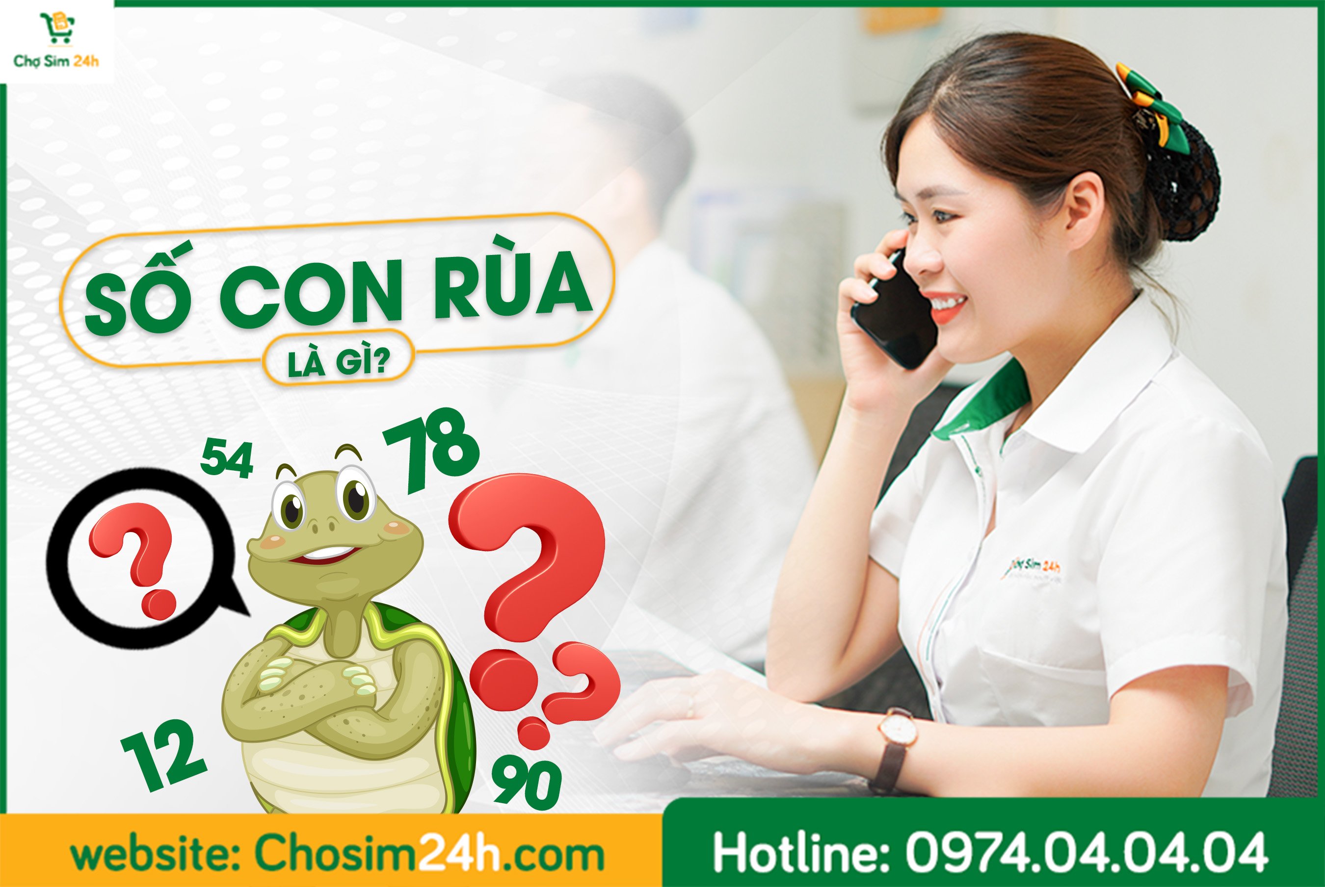 Con Rùa số mấy? Điều kỳ bí từ số con Rùa bạn đã biết chưa?