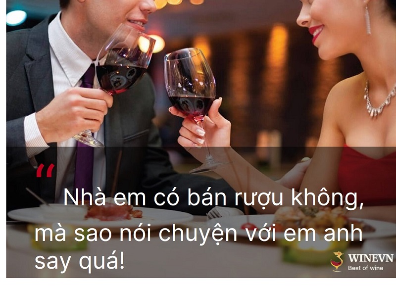 170+ Stt và câu nói hay về rượu bia buồn, thả tính cực chất