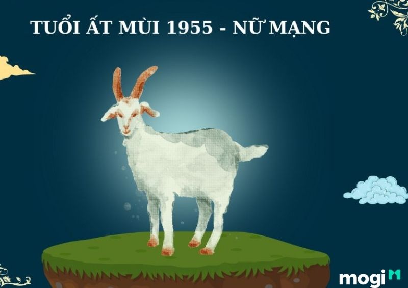 Sinh Năm 1955 Mệnh Gì? Luận Đoán Vận Mệnh Cuộc Đời Của Ất Mùi 1955