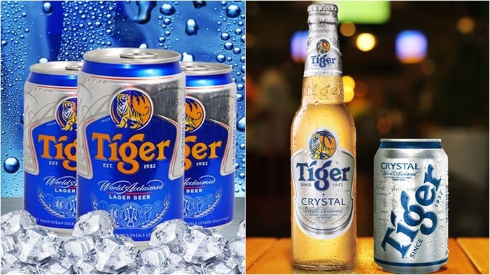 Bộ sưu tập hình ảnh bia Tiger đẹp nhất