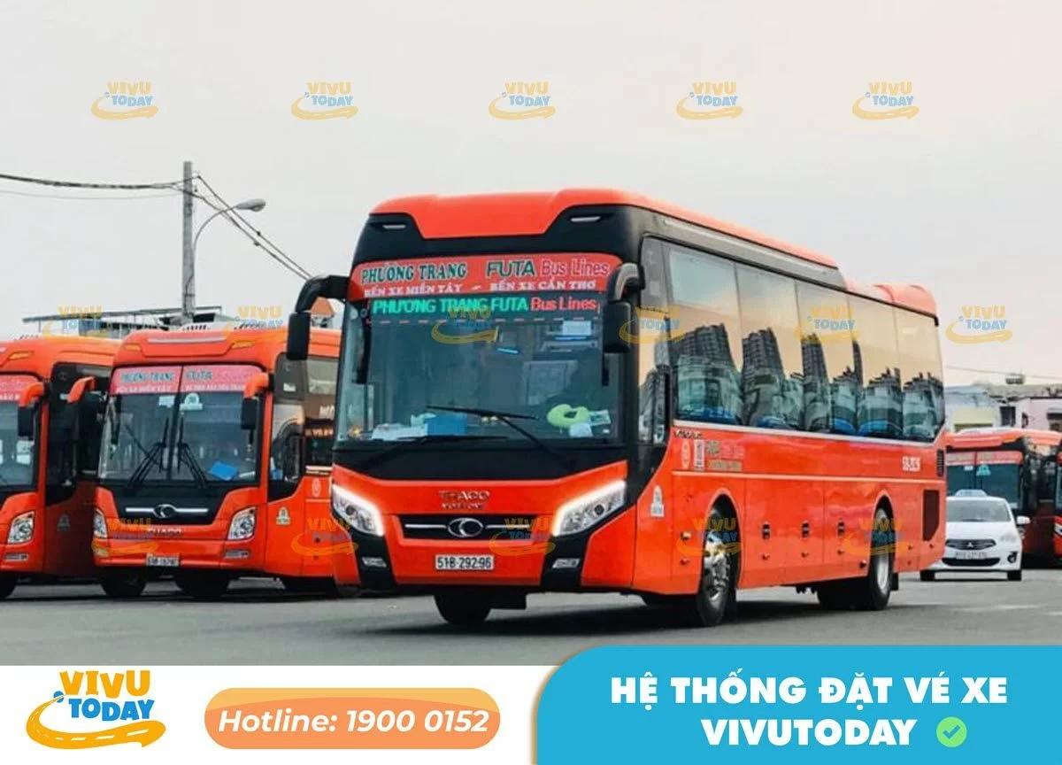 Nhà xe Phương Trang Cà Mau đi các tỉnh: Lịch trình, số điện thoại, giá vé