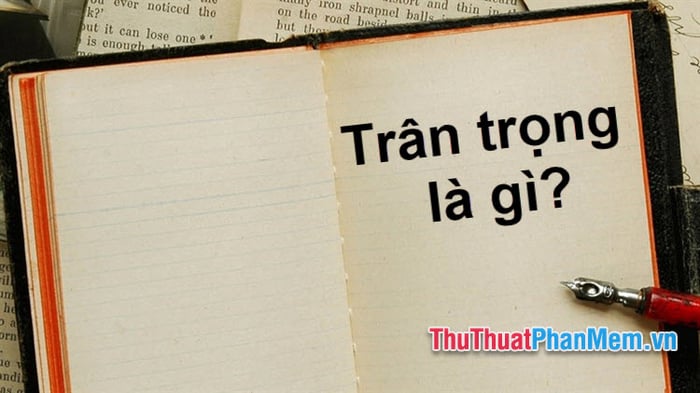 Chân trọng hay trân trọng? Từ nào đúng chính tả tiếng Việt?