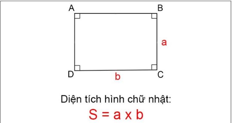 Công Thức Tính Diện Tích Hình Chữ Nhật Chi Tiết Kèm Bài Tập