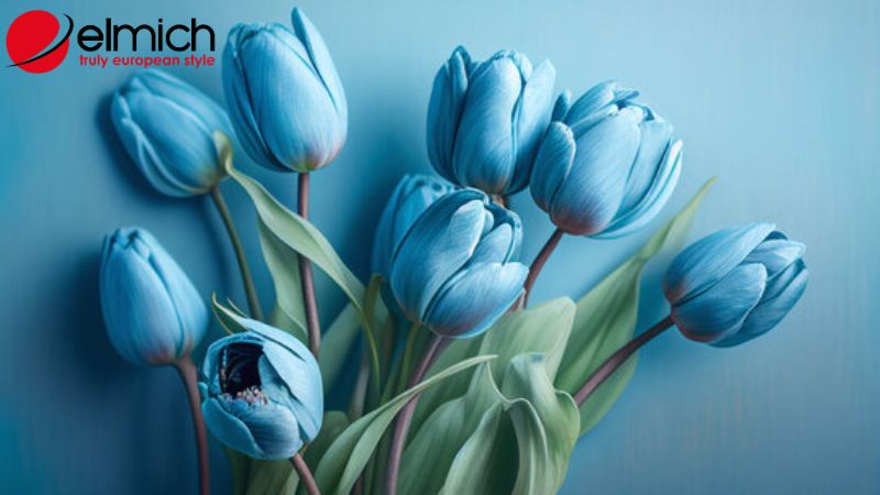 Bật mí ý nghĩa và nguồn gốc của mỗi loại hoa tulip