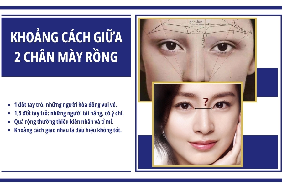 Lông mày rồng là gì? Tướng số long mi ở nam, nữ như thế nào?