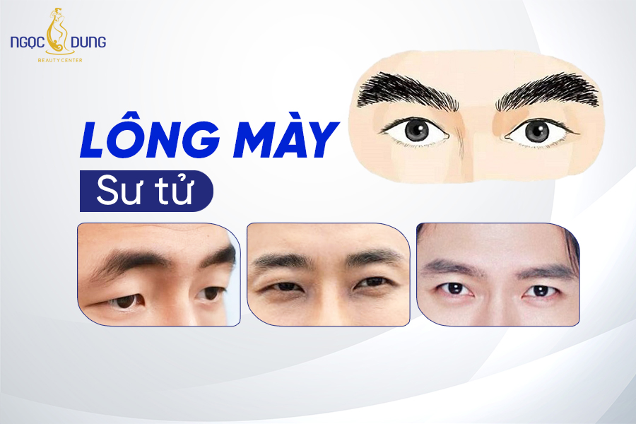 Lông mày sư tử: Biểu tượng của sự uy nghiêm và kiên định