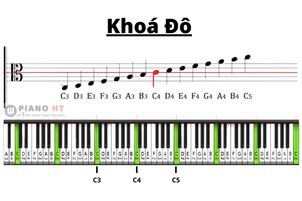 Khoá nhạc là gì? 3 loại khoá nhạc bạn cần biết khi học đàn piano