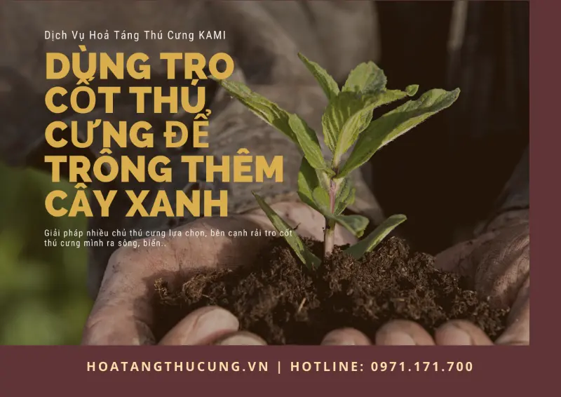 Chó mèo chết có nên chôn không? 2 góc nhìn tâm linh & khoa học!