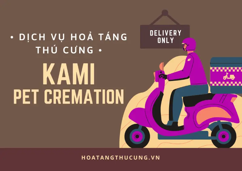 Chó mèo chết có nên chôn không? 2 góc nhìn tâm linh & khoa học!